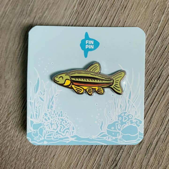 Fin Pin Shop - Wholesale Lapel Pin/Button - Northern Redbelly dace fish enamel pin - donation item1
