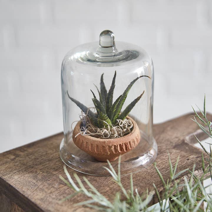 CTW Home Collection - Wholesale Decorative Tabletop Object - Miniature Glass Bell Cloche