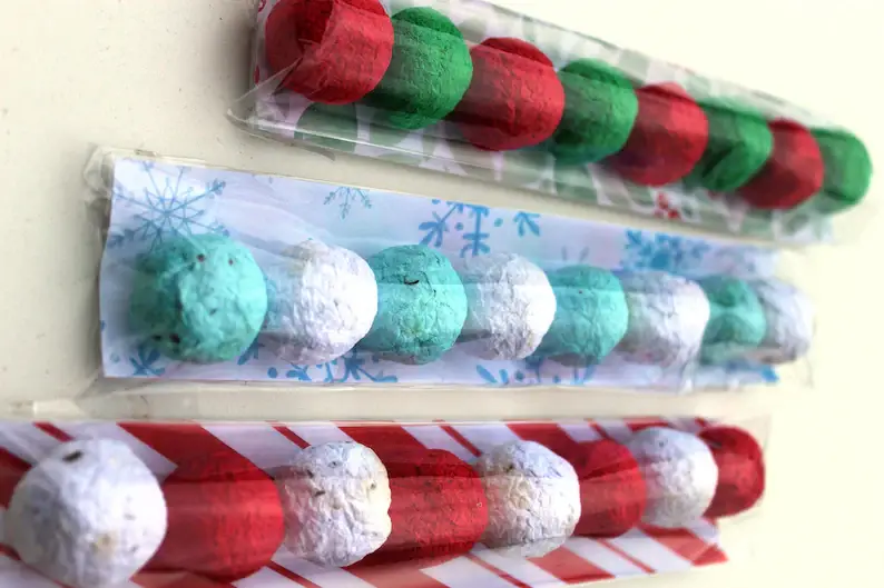 Plantables and Paper - Wholesale Plant Seeds - Holiday and Christmas Wildflower Stocking Stuffer Seed bombs2