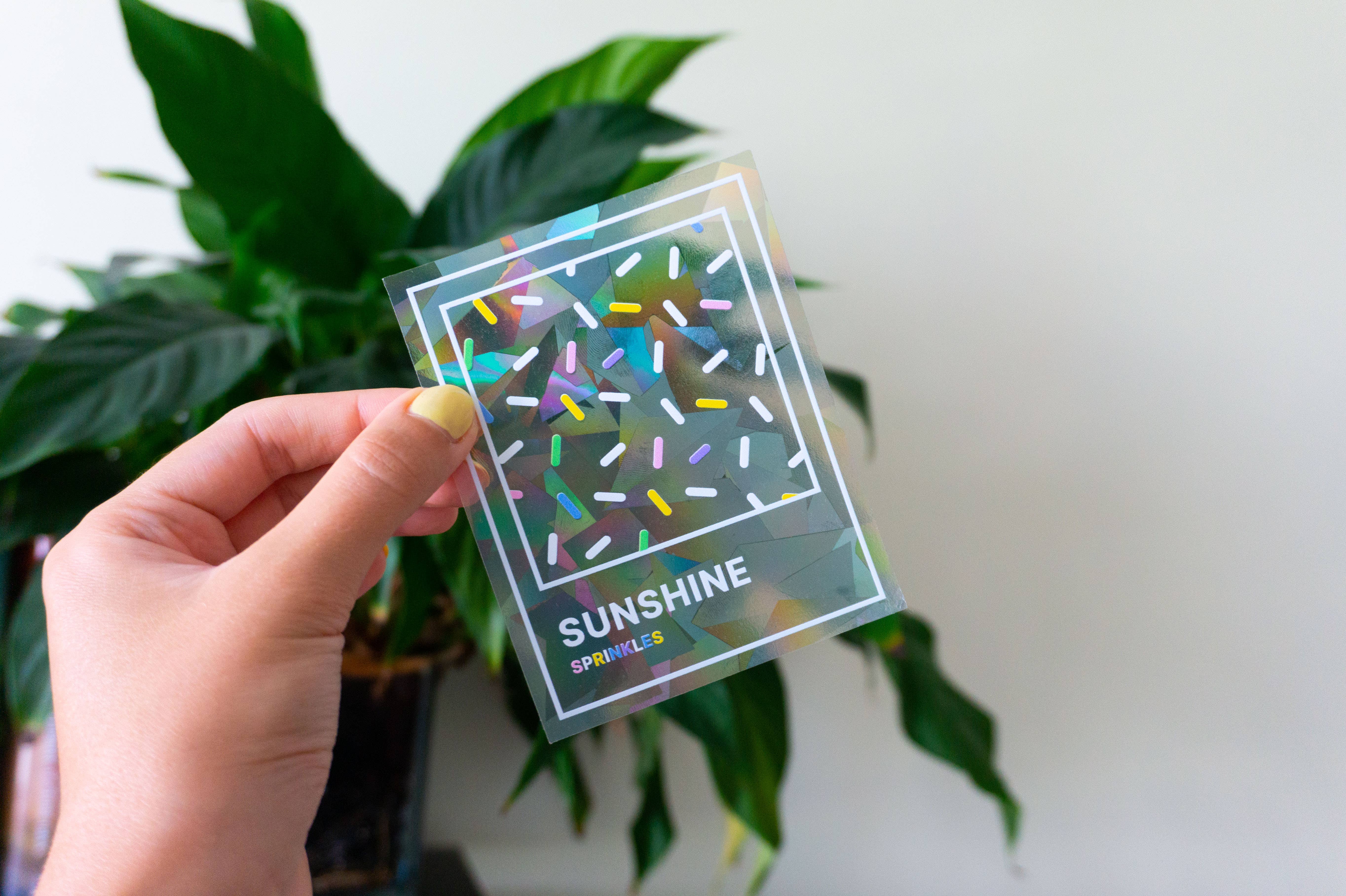 Creative Goodie - Vendita all'ingrosso Adesivo - Adesivo suncatcher arcobaleno, decalcomania per finestra8