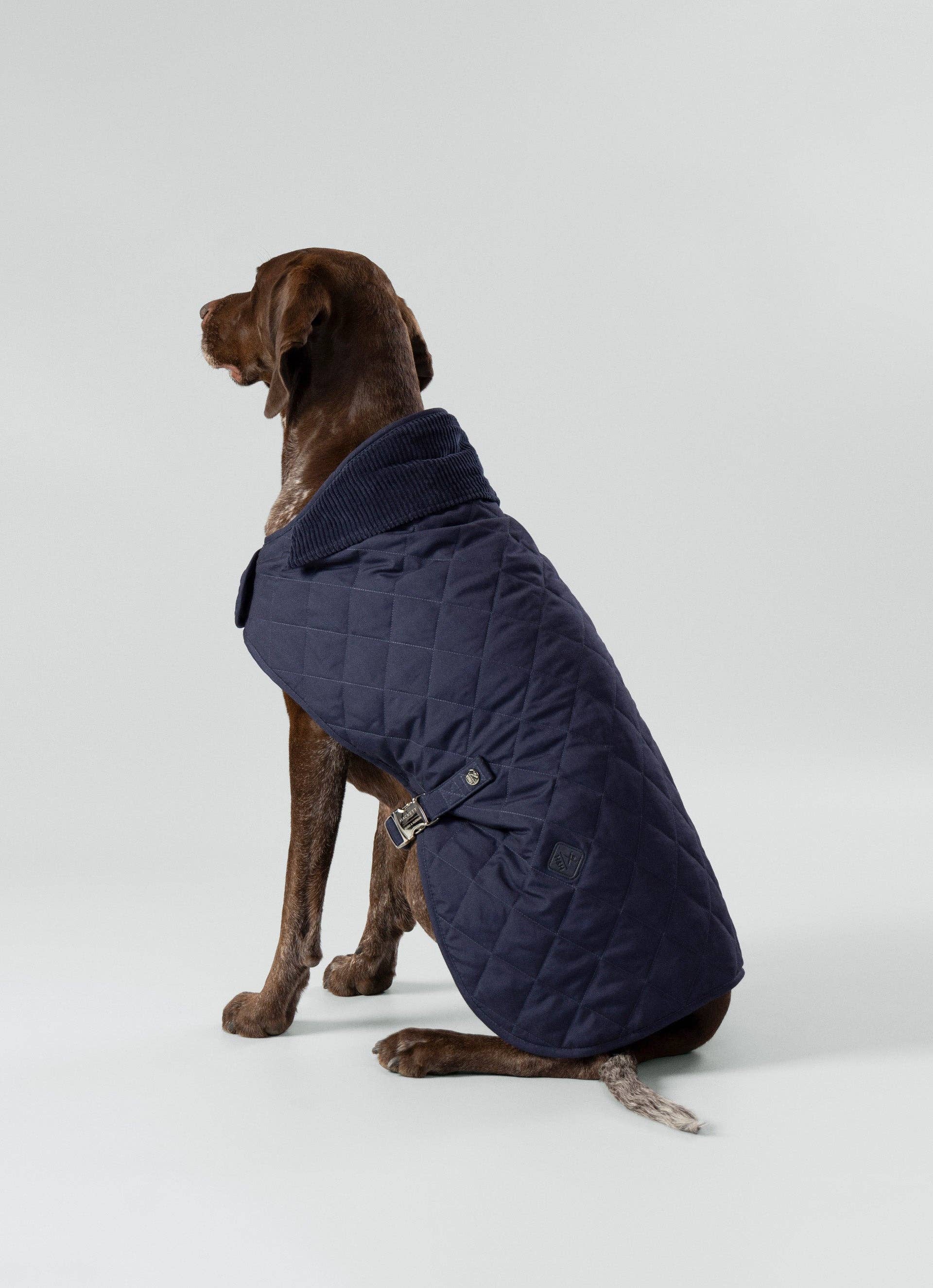 Hugo & Hudson - Wholesale Pet Jacket - Dog - Hackett x Hugo Hudson Navy Quilted Dog Jacket7