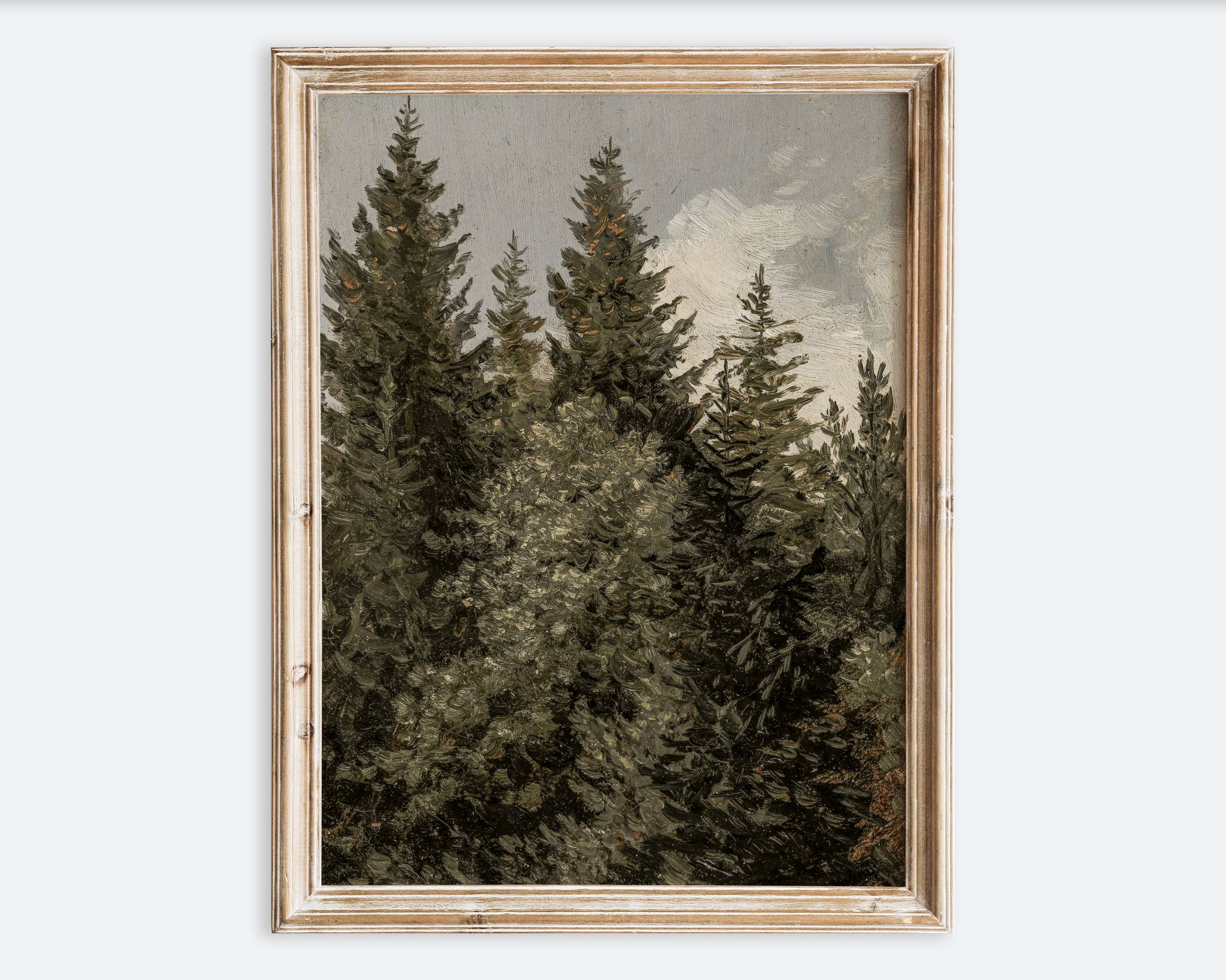 Sugar & Canvas - Wholesale Art Print - Vintage Fir Trees Landscape Art Print VP205