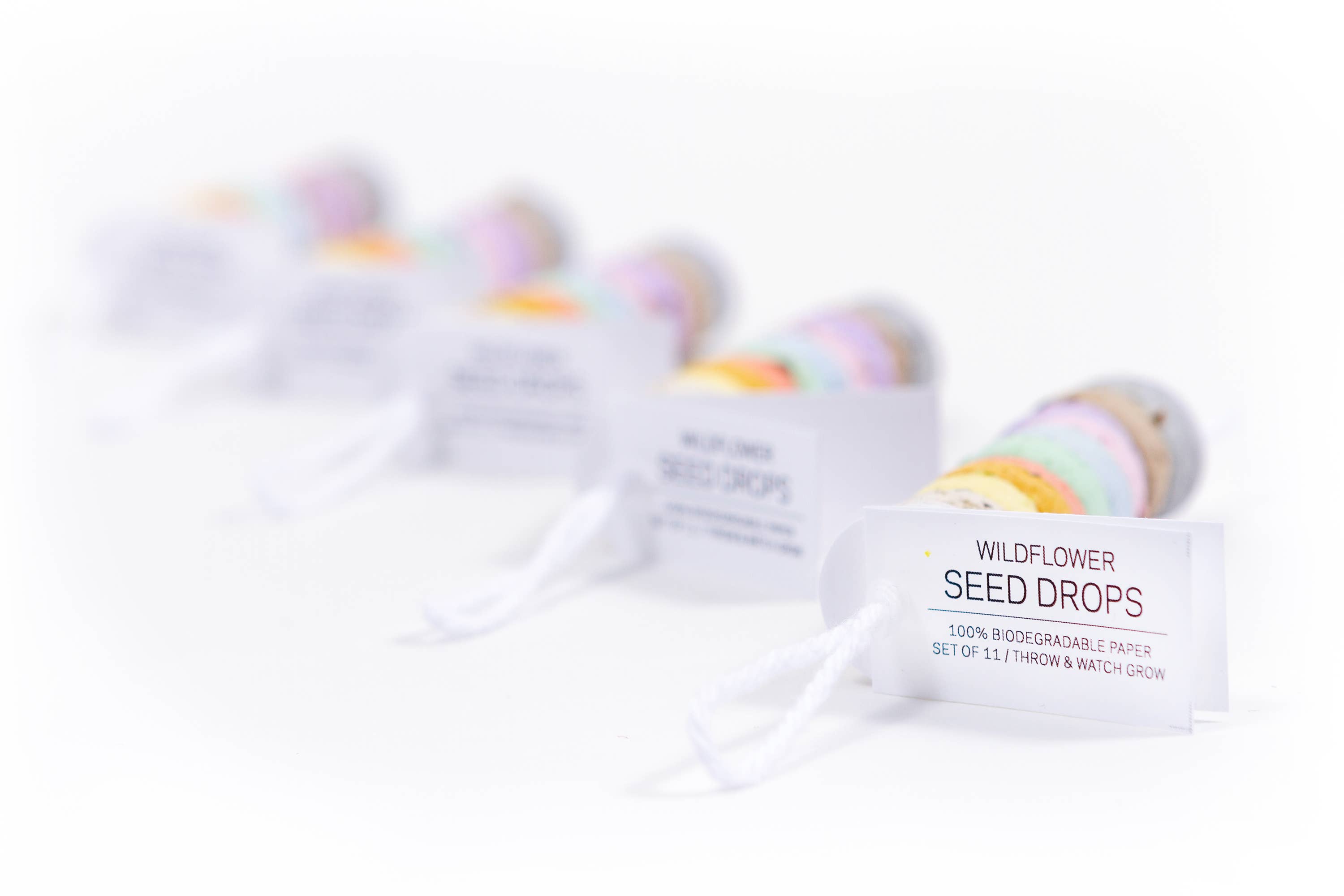 Studio 82° - Wholesale Plant Seeds - Wildflower Seed Drops - Rainbow2