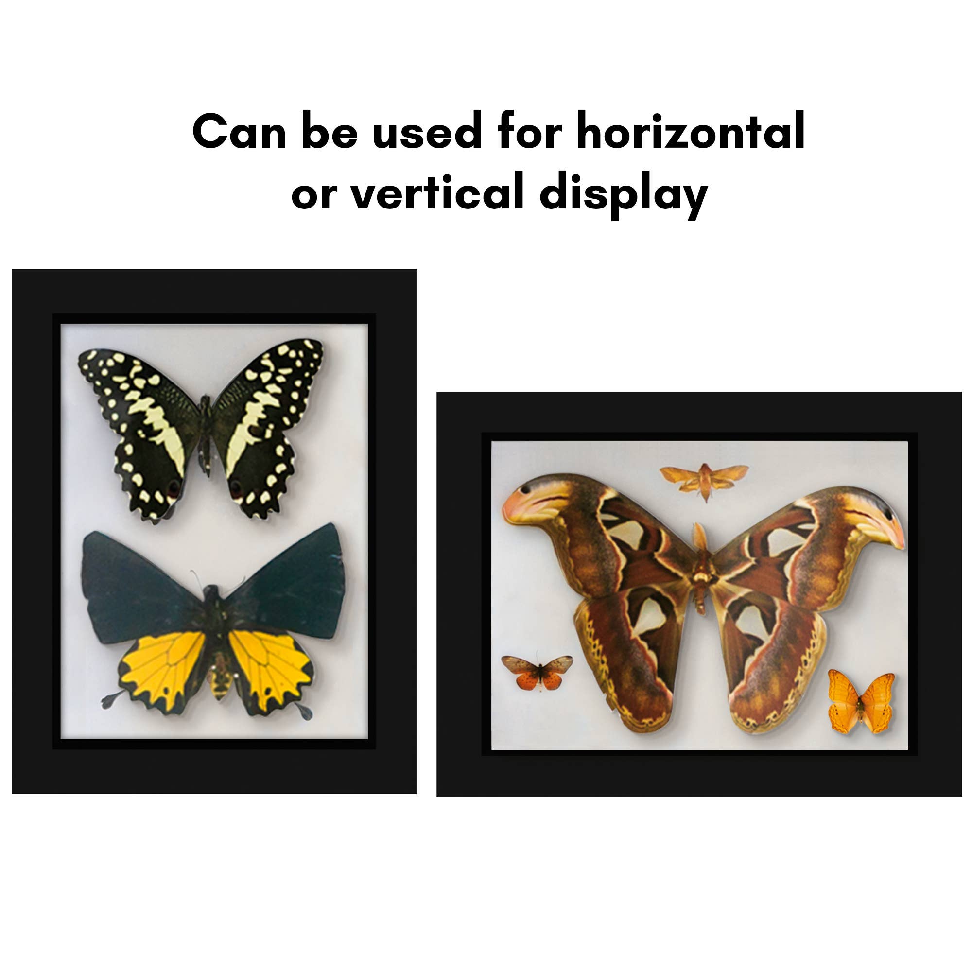 Americanflat - Wholesale Picture Frame - Americanflat Shadow Box Frame with Soft Felt Back53