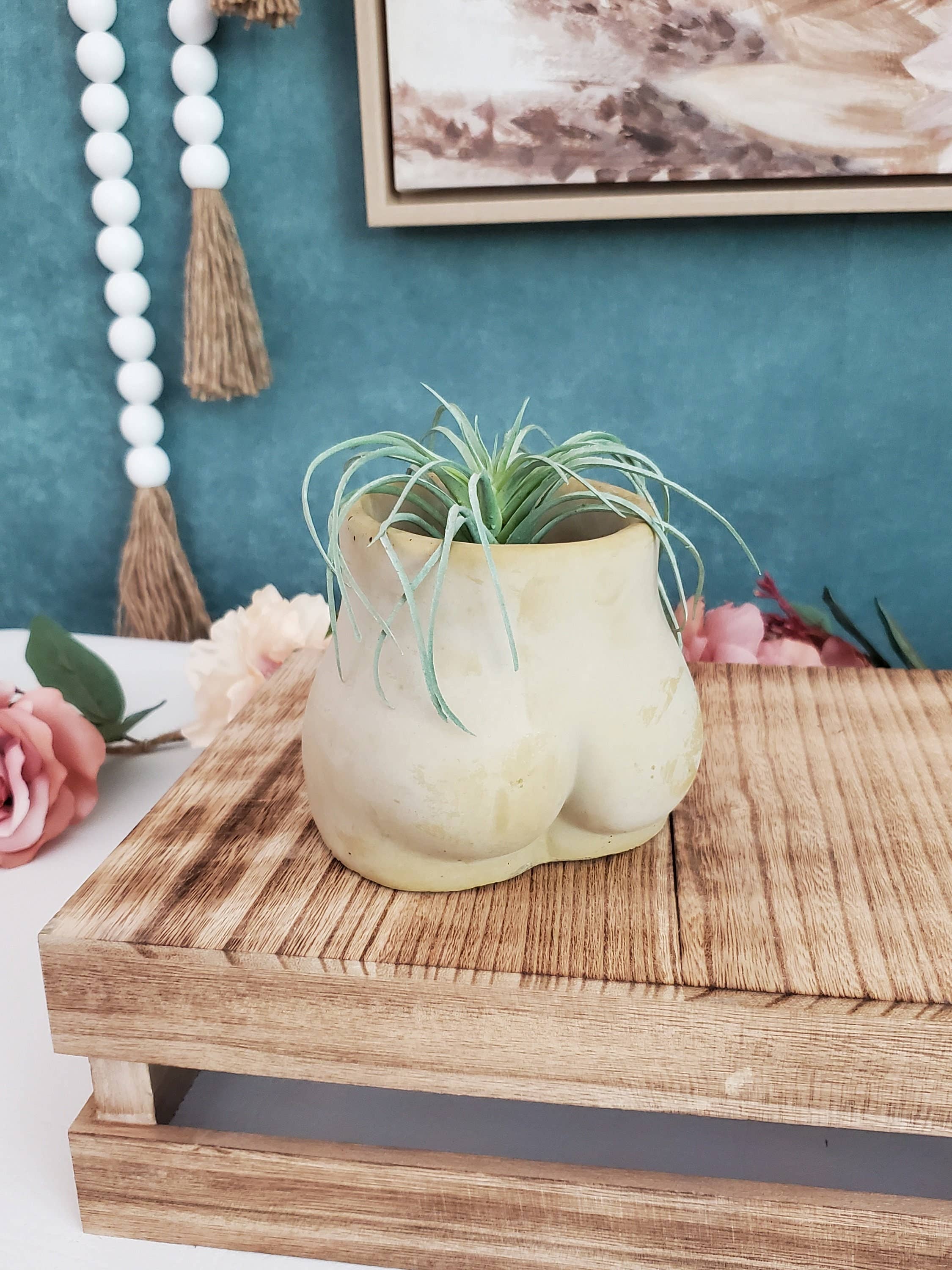 House Americana - Wholesale Plant Pot - Butt Booty Concrete Planter Pot With Drainage1