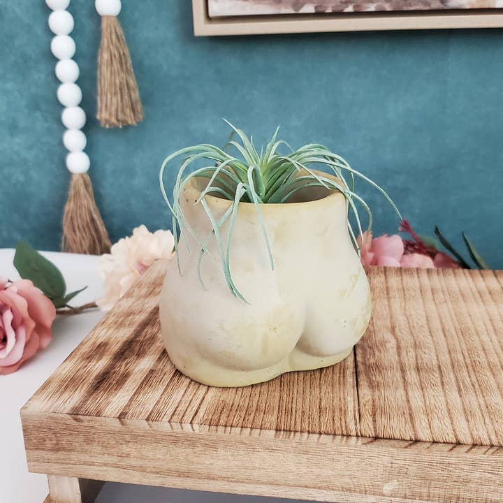 House Americana - Wholesale Plant Pot - Butt Booty Concrete Planter Pot With Drainage1