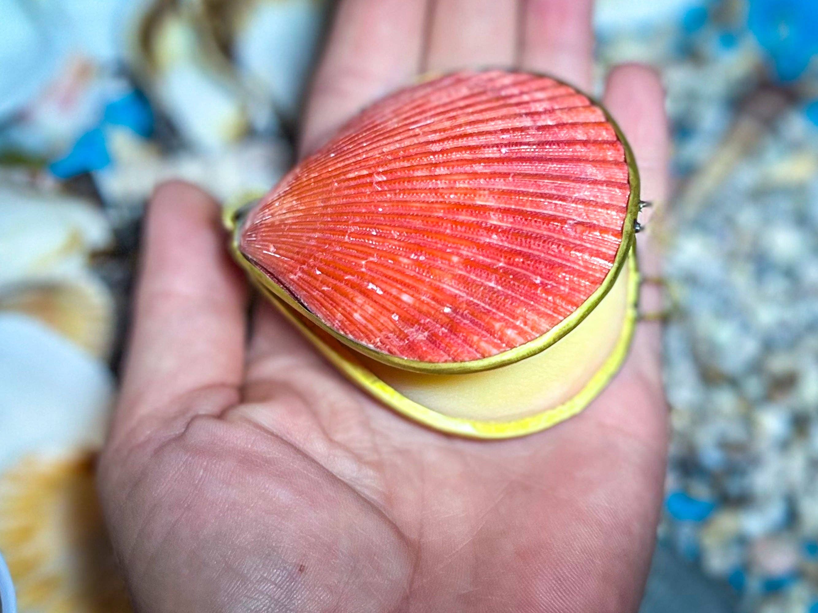 Mandala Gems - Wholesale Solid Perfume - CREATRIX Solid Perfume, Botanical Natural Perfume in A Seashell Compact4