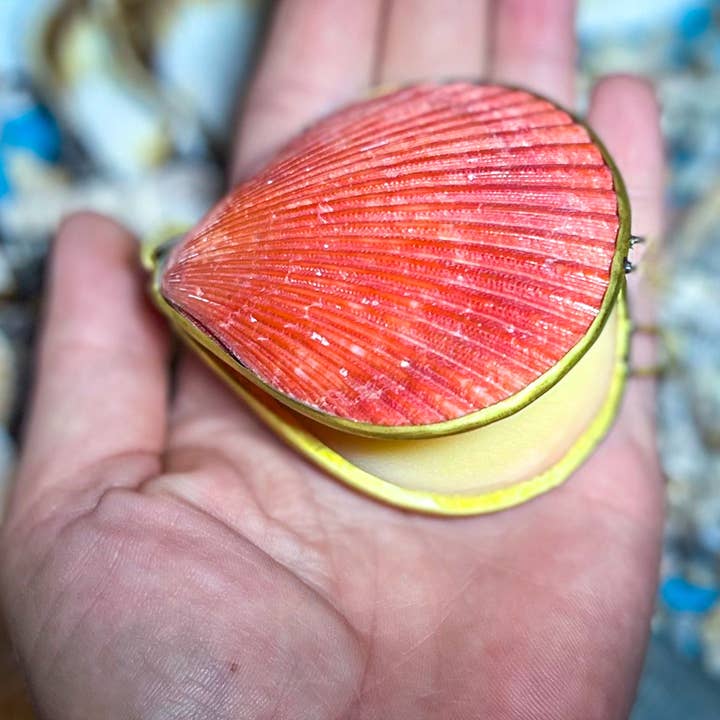 Mandala Gems - Wholesale Solid Perfume - CREATRIX Solid Perfume, Botanical Natural Perfume in A Seashell Compact4