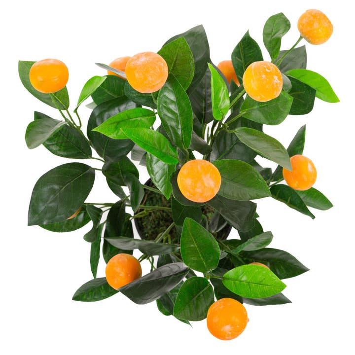 Closer2Nature - Venta al por mayor Plantas artificiales - Mini naranjo artificial