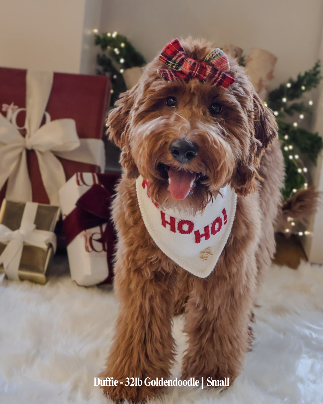 The Deluxe Pup - Wholesale Pet Bandana - Dog - BANDANA | HO HO HO3