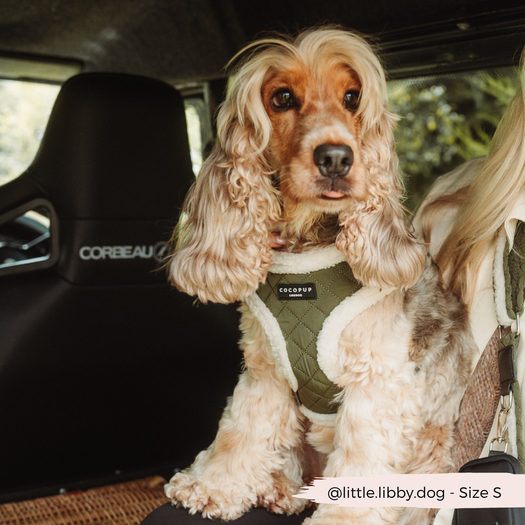 Cocopup London - Wholesale Pet Harness - Dog - Khaki Quilted Adjustable Neck Harness8