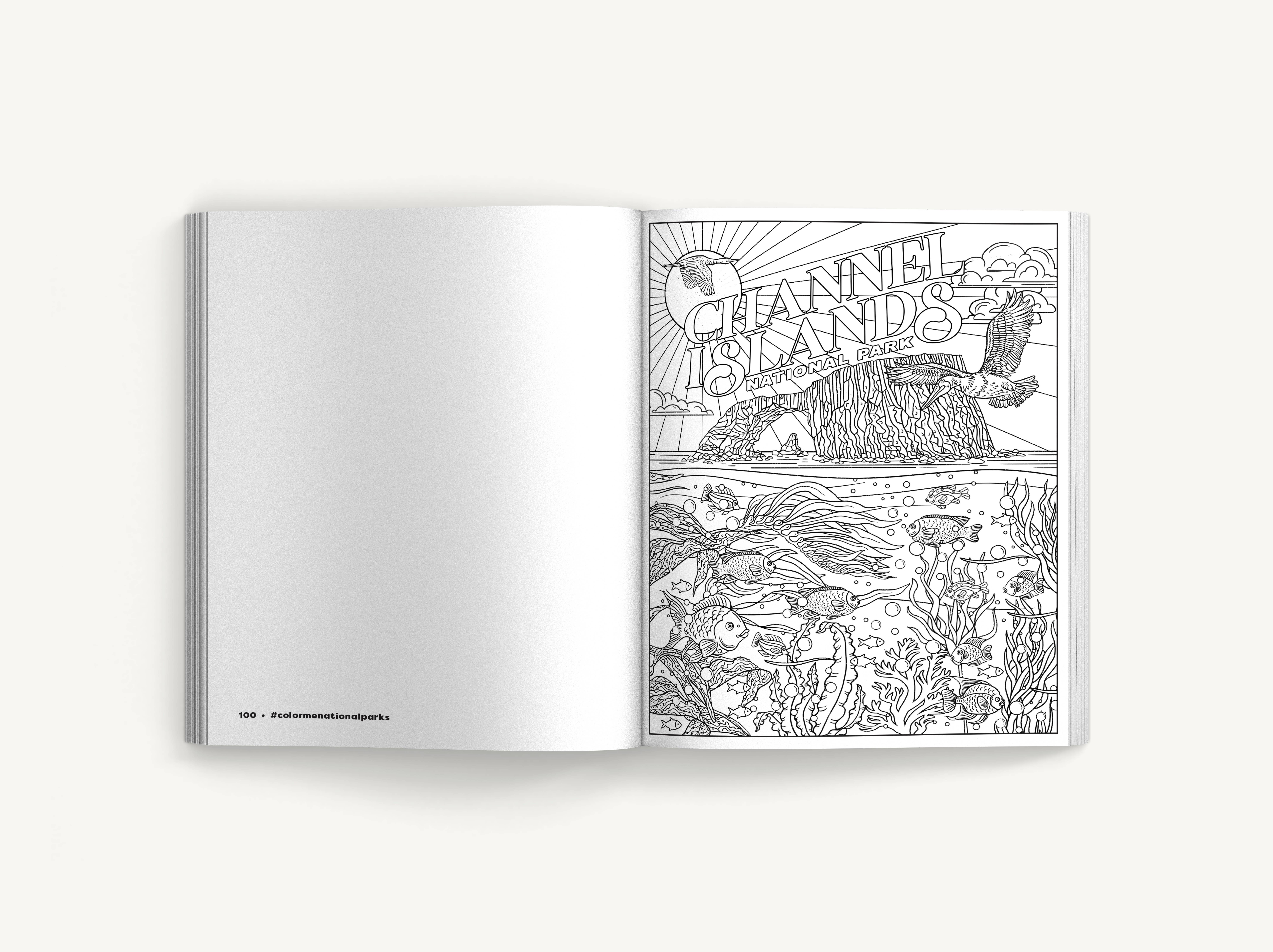 HarperCollins Focus - Wholesale Coloring & Activity Book - Adult - Color Me National Parks: An Adventurous Coloring Book6