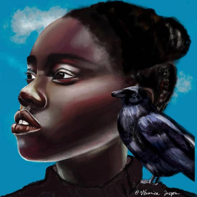 The Strange Happines for wholesale by Veronica Joseph