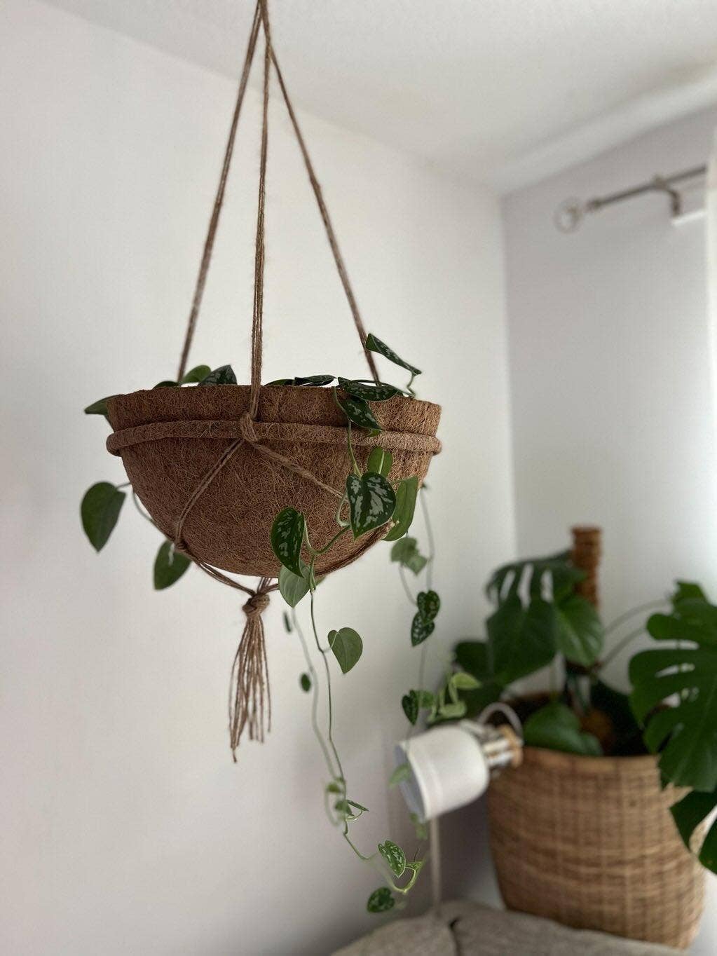 CoirProducts.co.uk of Salike Limited - Vendita all'ingrosso Fioriere a sospensione - Fodere in cocco | fodere in fibra di cocco naturale e biodegradabile al 100%7