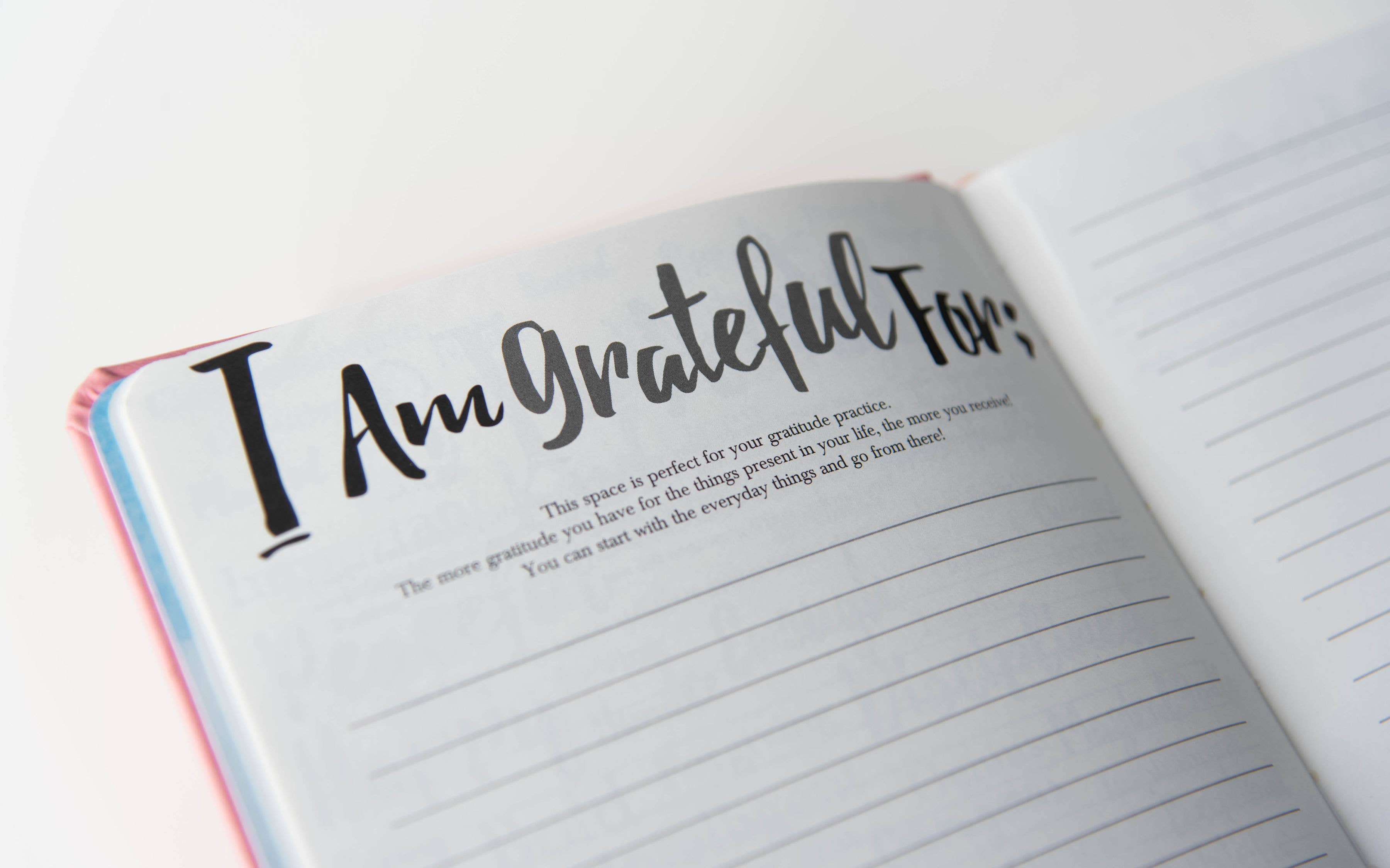 PleaseNotes Goods - Affirmation-Filled Goods - Wholesale Journal/Diary - The Guided Clarity Journal for Confidence5