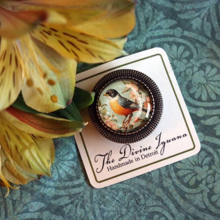 The Divine Iguana - Wholesale Brooch - Vintage Robin Spring Bird Glass Cabochon Brooch3