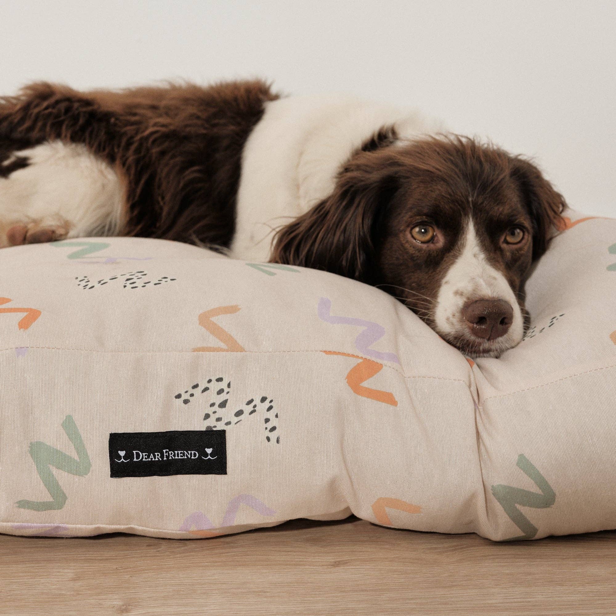 SG HOGAR – cama - Gato e cão por atacado – Cama acolchoada para cães e gatos em algodão resistente a manchas 0120-2011