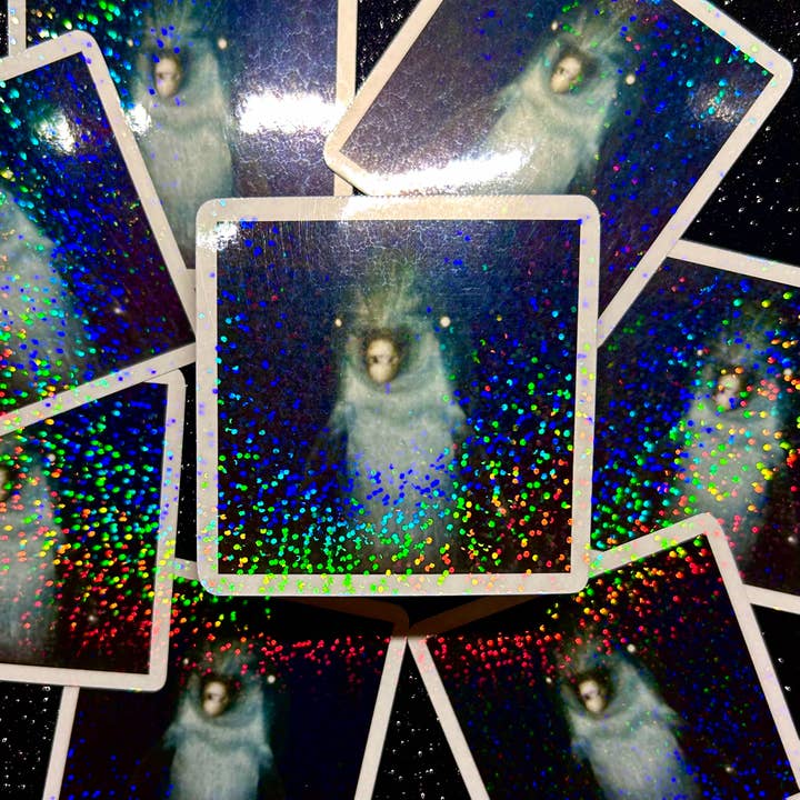 Scary Dolphin Holographic Vinyl Sticker for wholesale by Metalbox