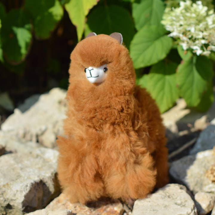 Alpaca market - Venta al por mayor Peluche - Niños y bebés - Peluche de alpaca