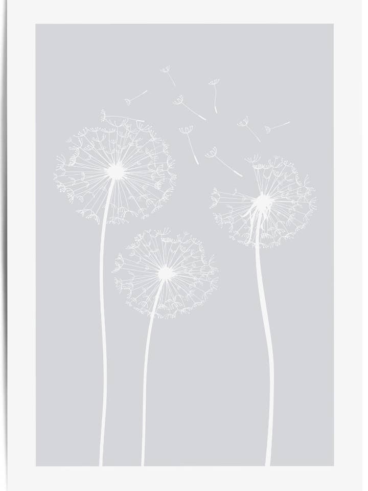 Light Grey Dandelion Botanical Wall Art Print Poster no 2 for wholesale by THE WALL HABITAT