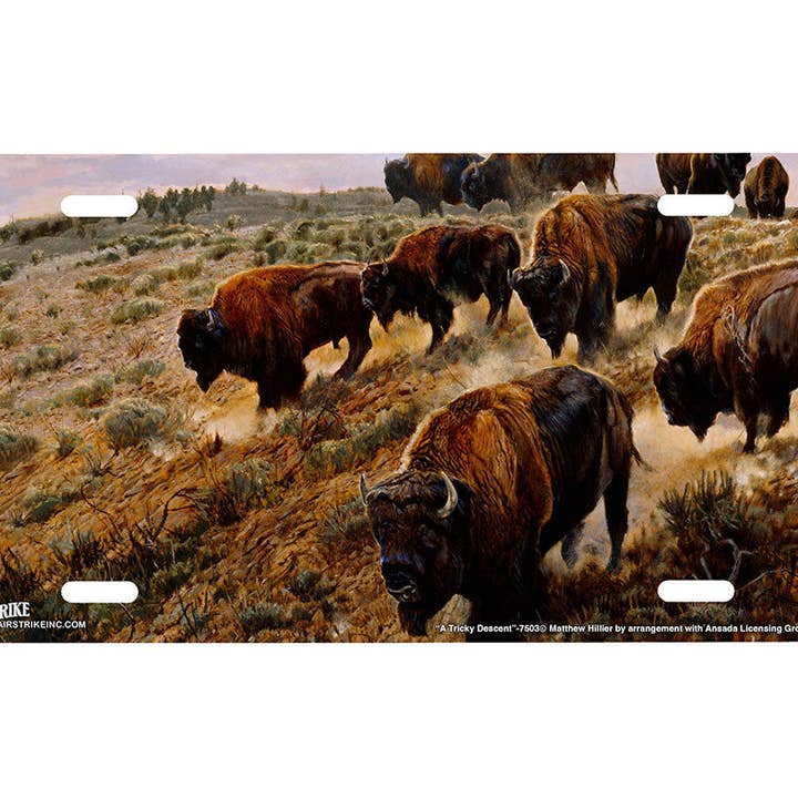 "A Tricky Descent" - Decorative License Plate for wholesale by Airstrike