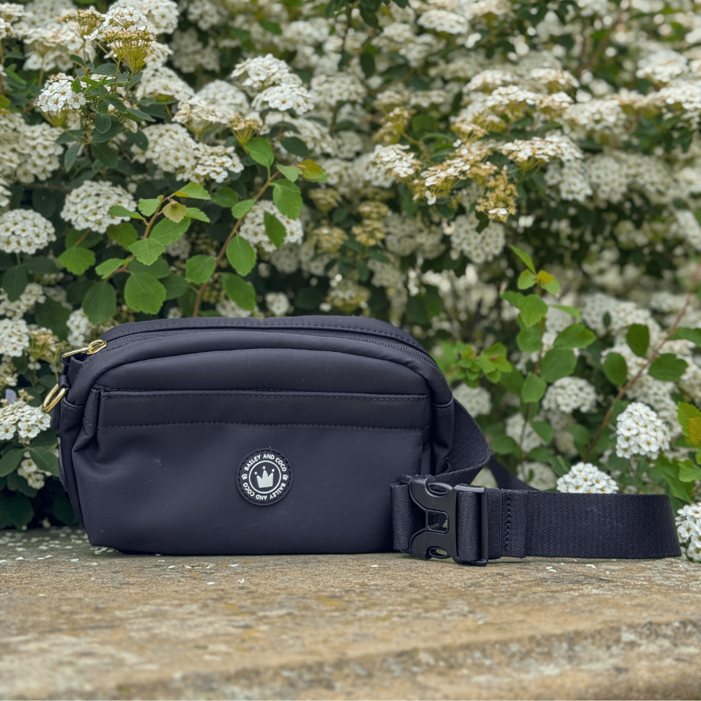 Bailey and Coco – wholesale Pet treat bag – Dog – Magnetic Snap Dog Walking Bum Bag - Black7