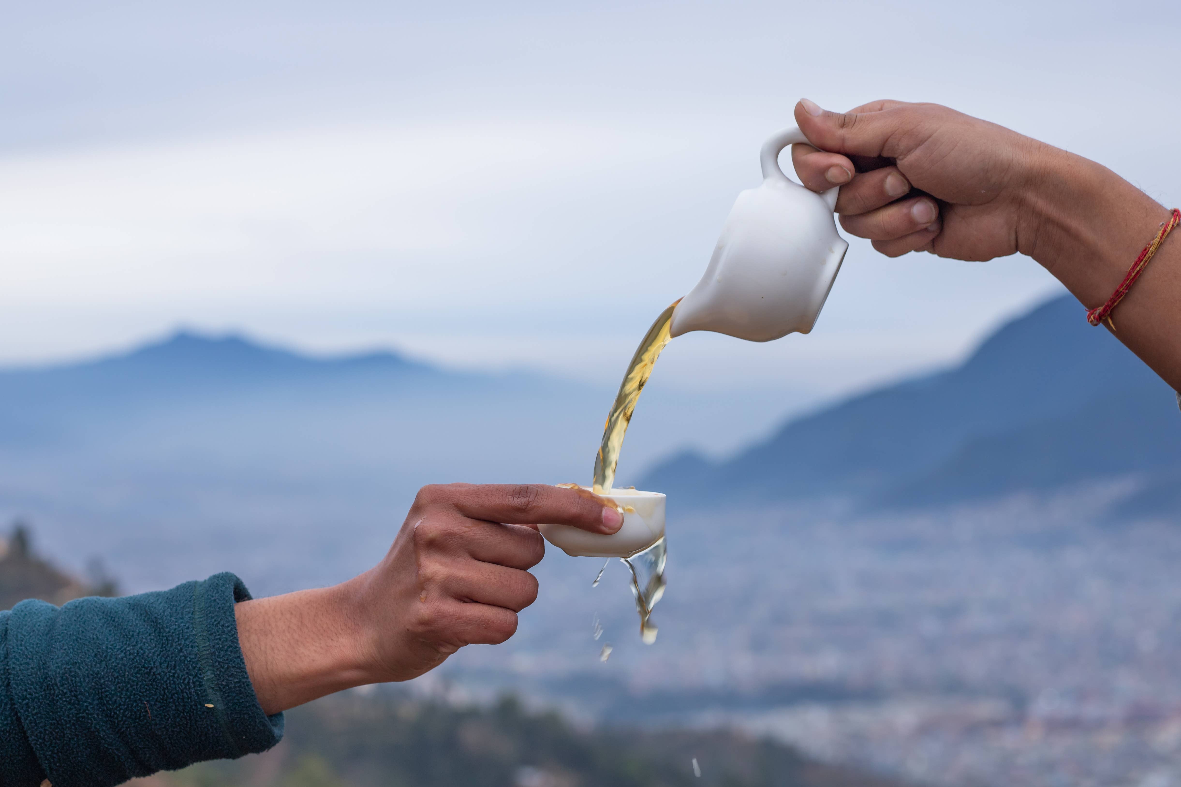 Nepal Tea Collective - Wholesale Loose Tea - Kanchanjangha Noir Loose Tea - 1 KG (2.2 Lbs.)3