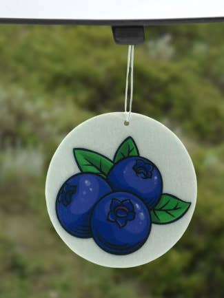 Blueberry Air Freshener for wholesale by Tanya Leigh Creations