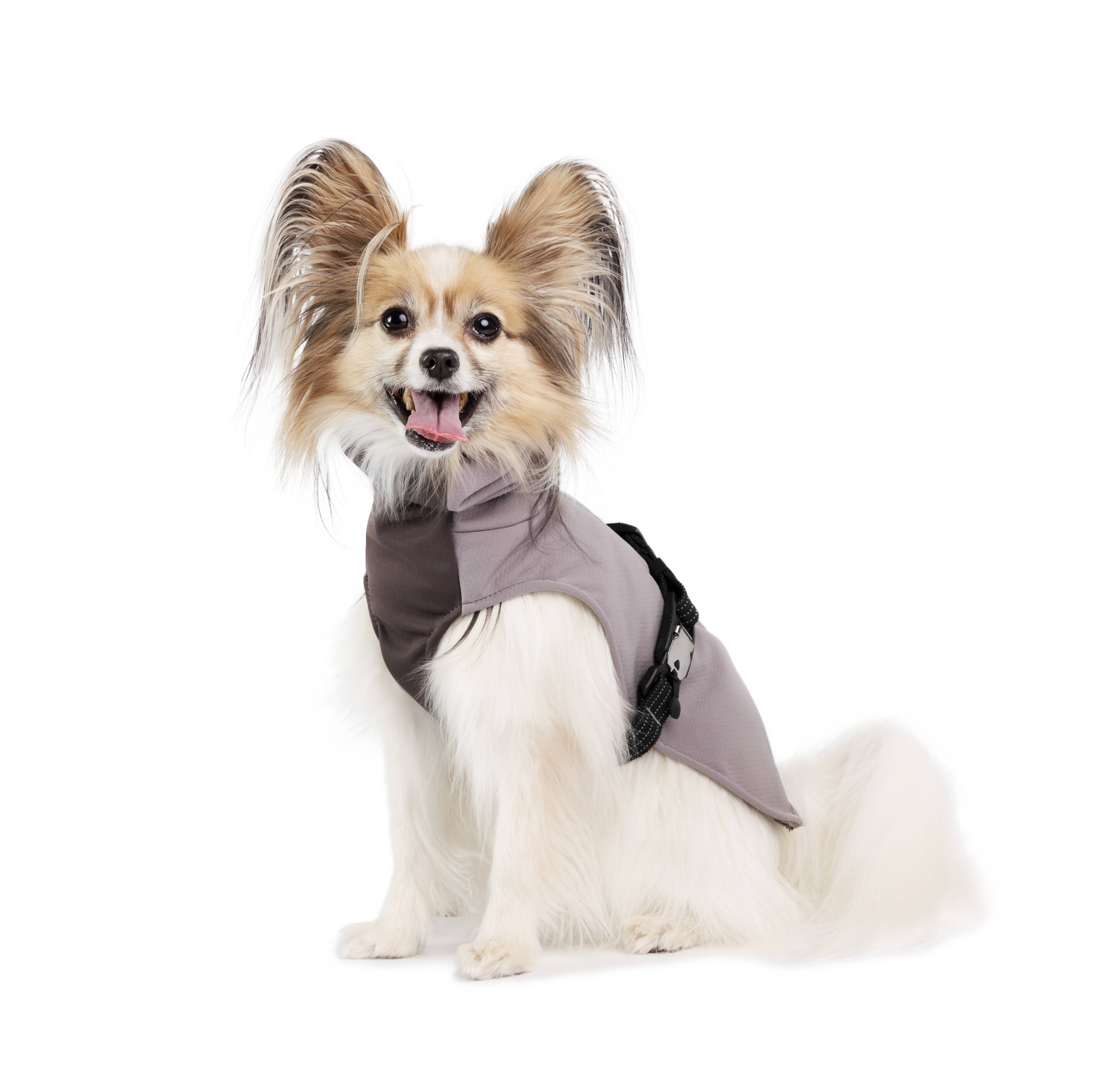 Gold Paw Series – wholesale Ytterkläder - Hund – WinterPaw4