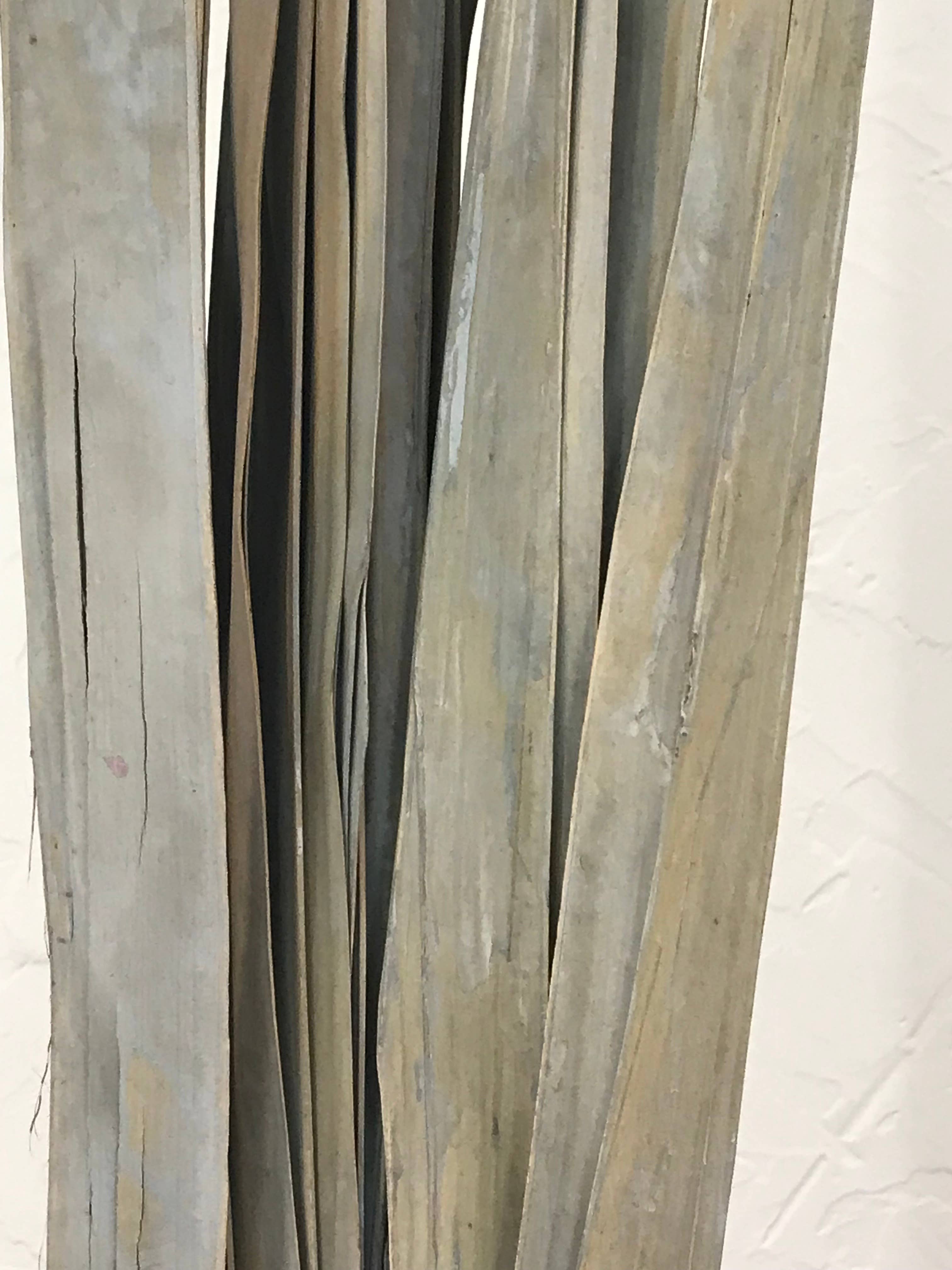 Wilco Home - Wholesale Dried/Pressed Flowers - 300 Grams Natural Dried Sun Palm Leaf Bunch9