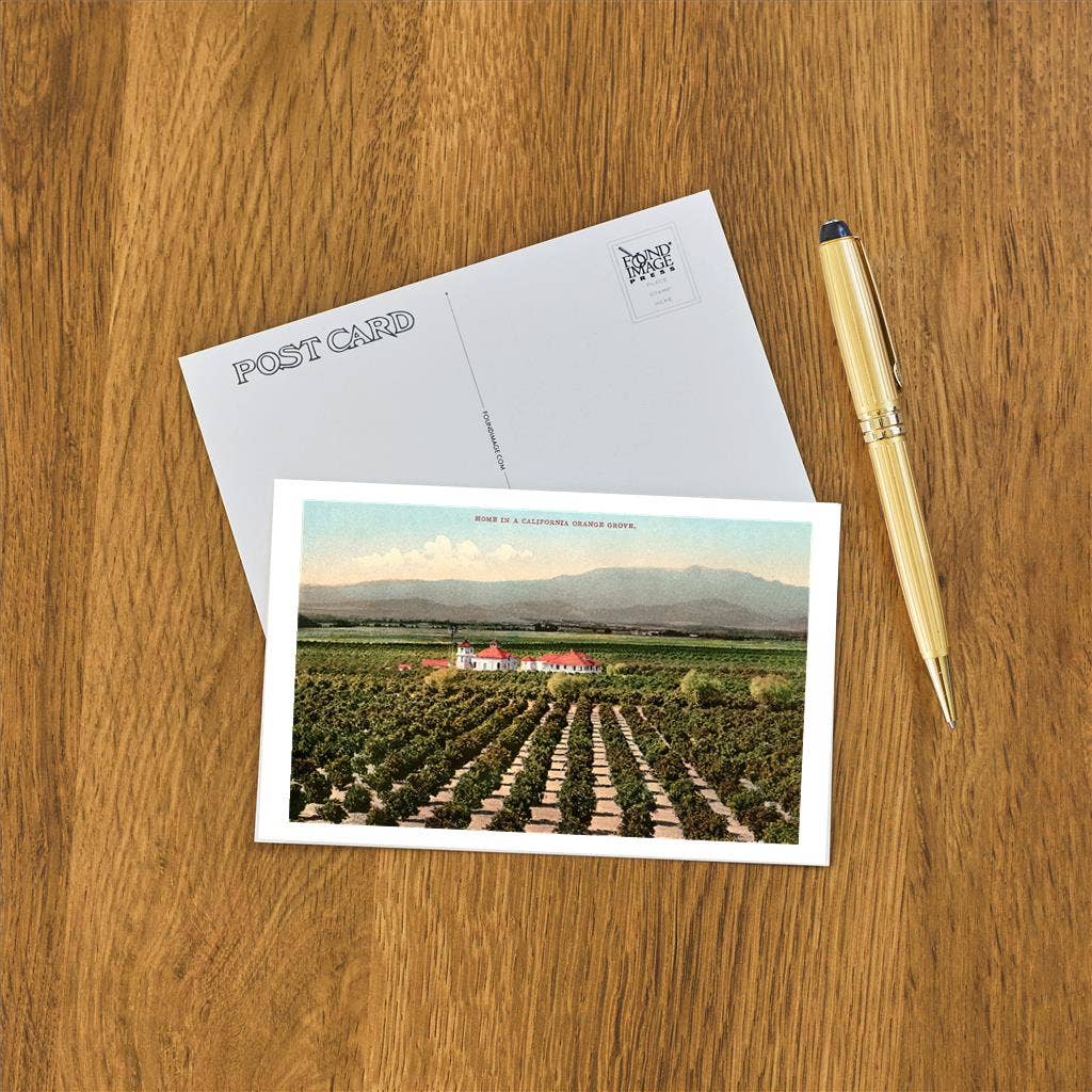 Found Image Press - Vente Cartes postales - Carte postale CA-1265 Verger d'orangers de Californie1