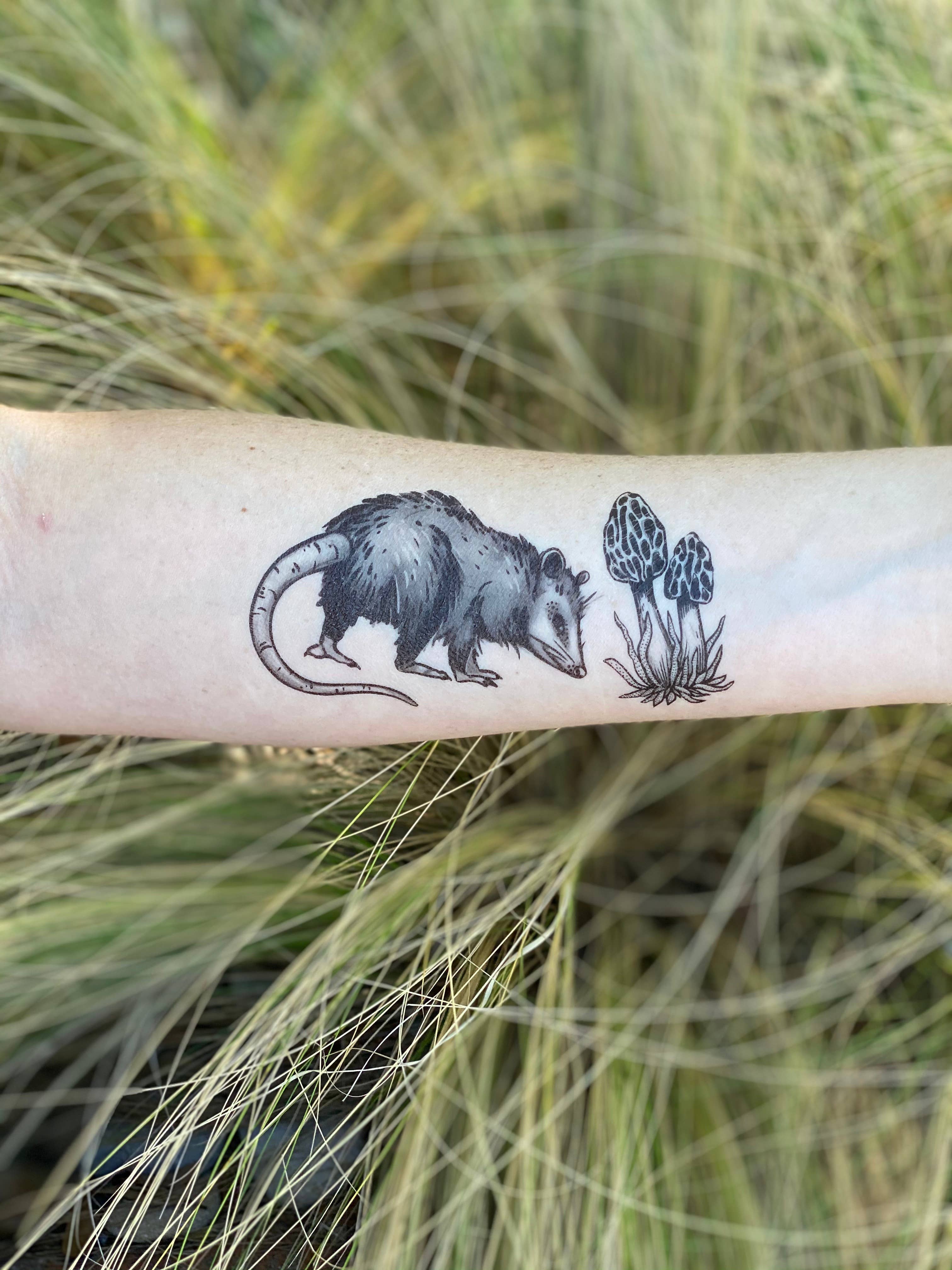 Possum tattoo design by Oni4219 on DeviantArt
