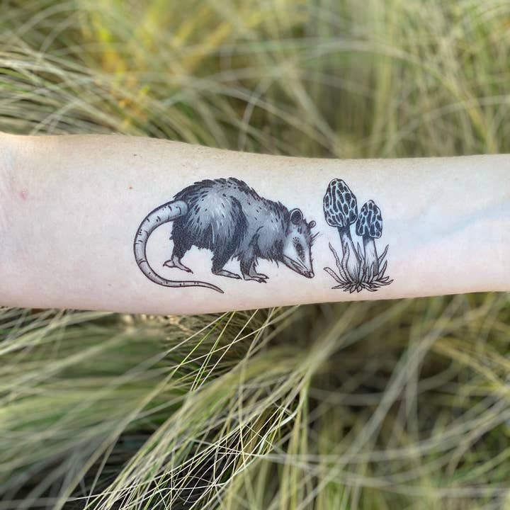 NatureTats - Wholesale Temporary Tattoo - Opossum Temporary Tattoo4