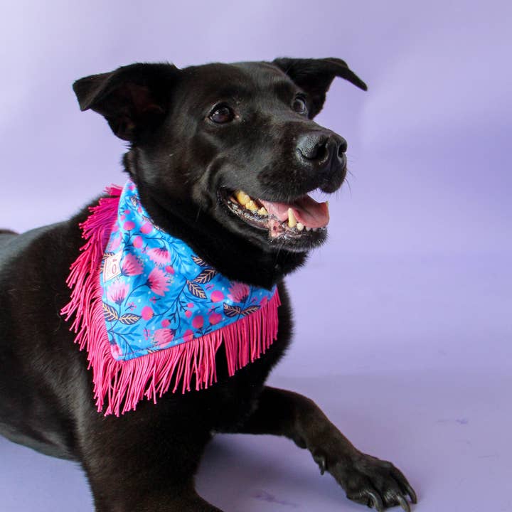 Velvet Outlaw - Wholesale Pet Bandana - Dog - Blooming Flower Fringe Pet Bandana6