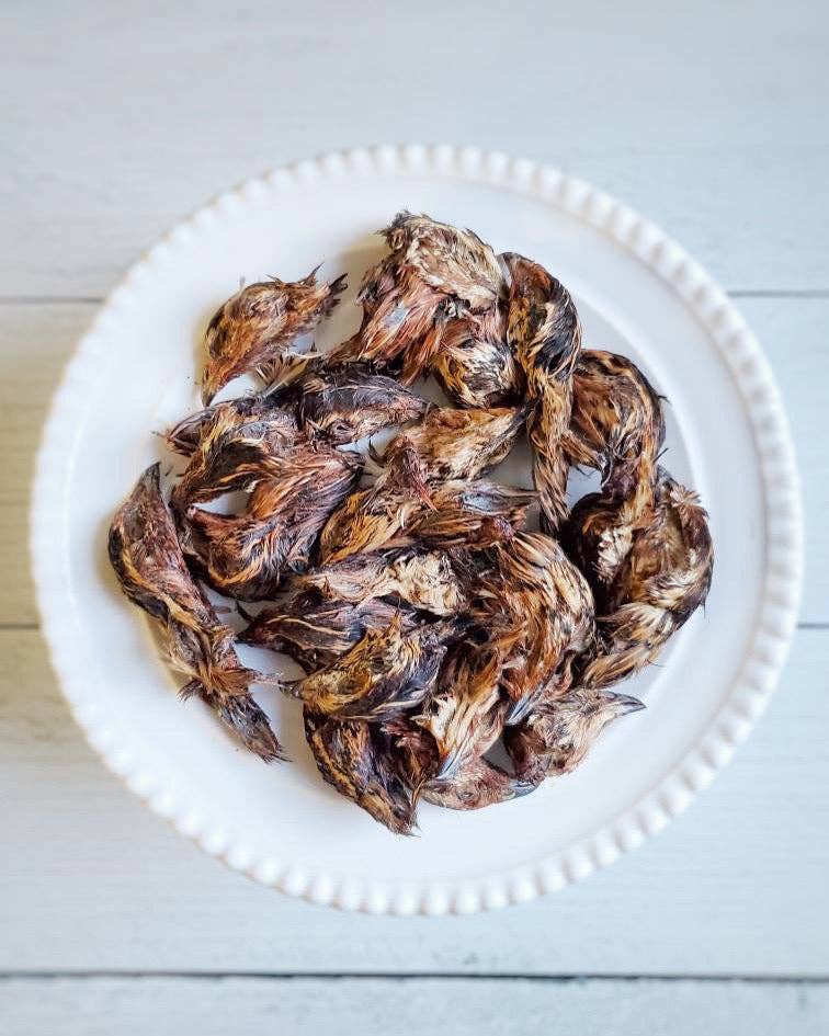 Naked Beasts, Inc. - Wholesale Pet Treats - Dog - Quail Heads (Feathered)0