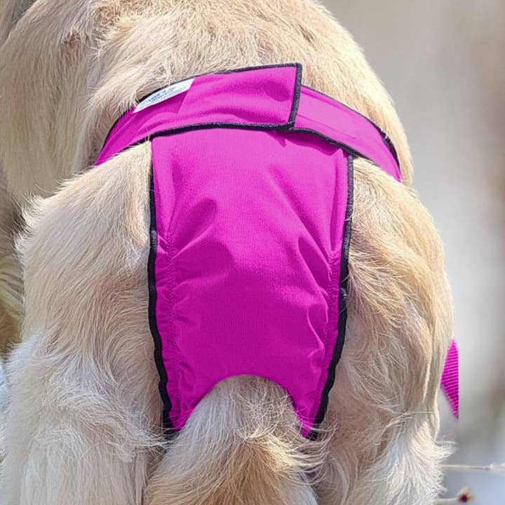 Jack & Jill Dog Diapers - Vente Couches – chien - Culotte pour chien à taille haute - Rose0