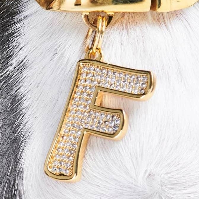 Initial Letter Jewelry Tag - F for wholesale by Spark Paws