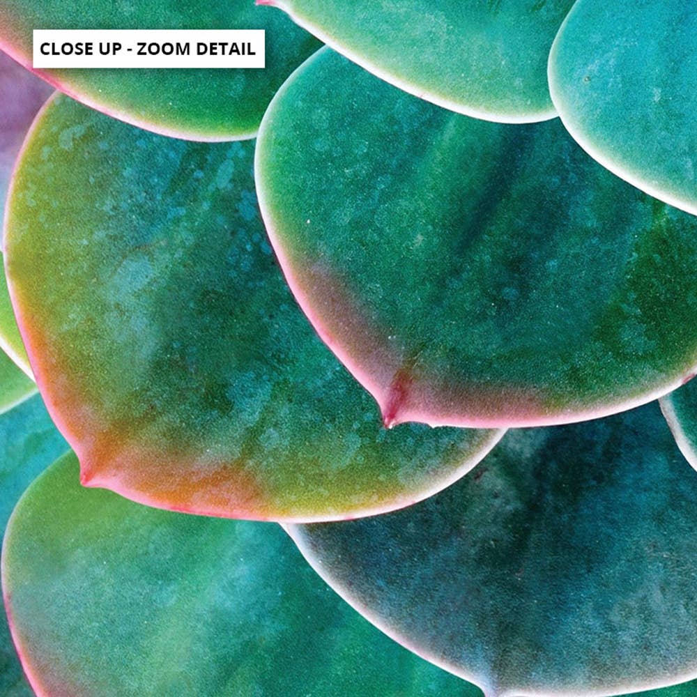 PRINT AND PROPER - Vente Affiche d'art - Imprimé succulent. Art des cactus. Décoration murale Green Rainbow Tips2