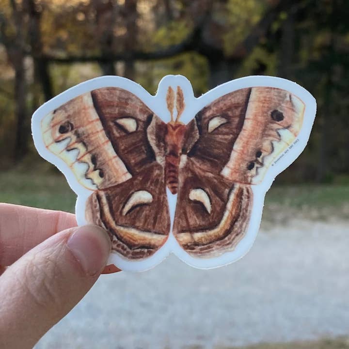 Cecropia Moth Vinyl Sticker - Nature Artist for wholesale by Inventus Art
