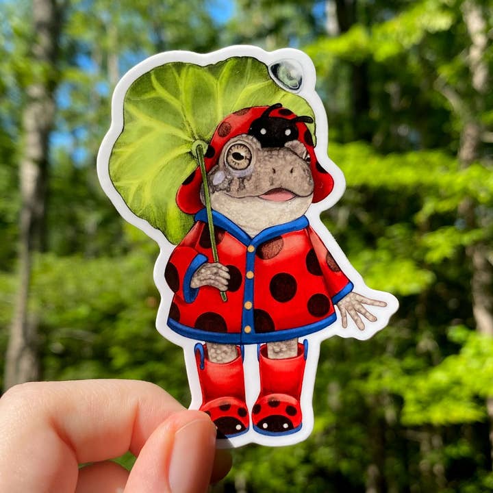 Allison Stoiser Art – wholesale Klistermärke – Regnrock Padda Väderbeständig Vinylklistermärke0