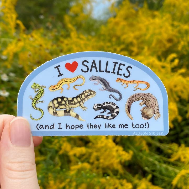 Allison Stoiser Art – wholesale Klistermärke – Jag ❤️ Sallies väderbeständiga vinylklistermärke0