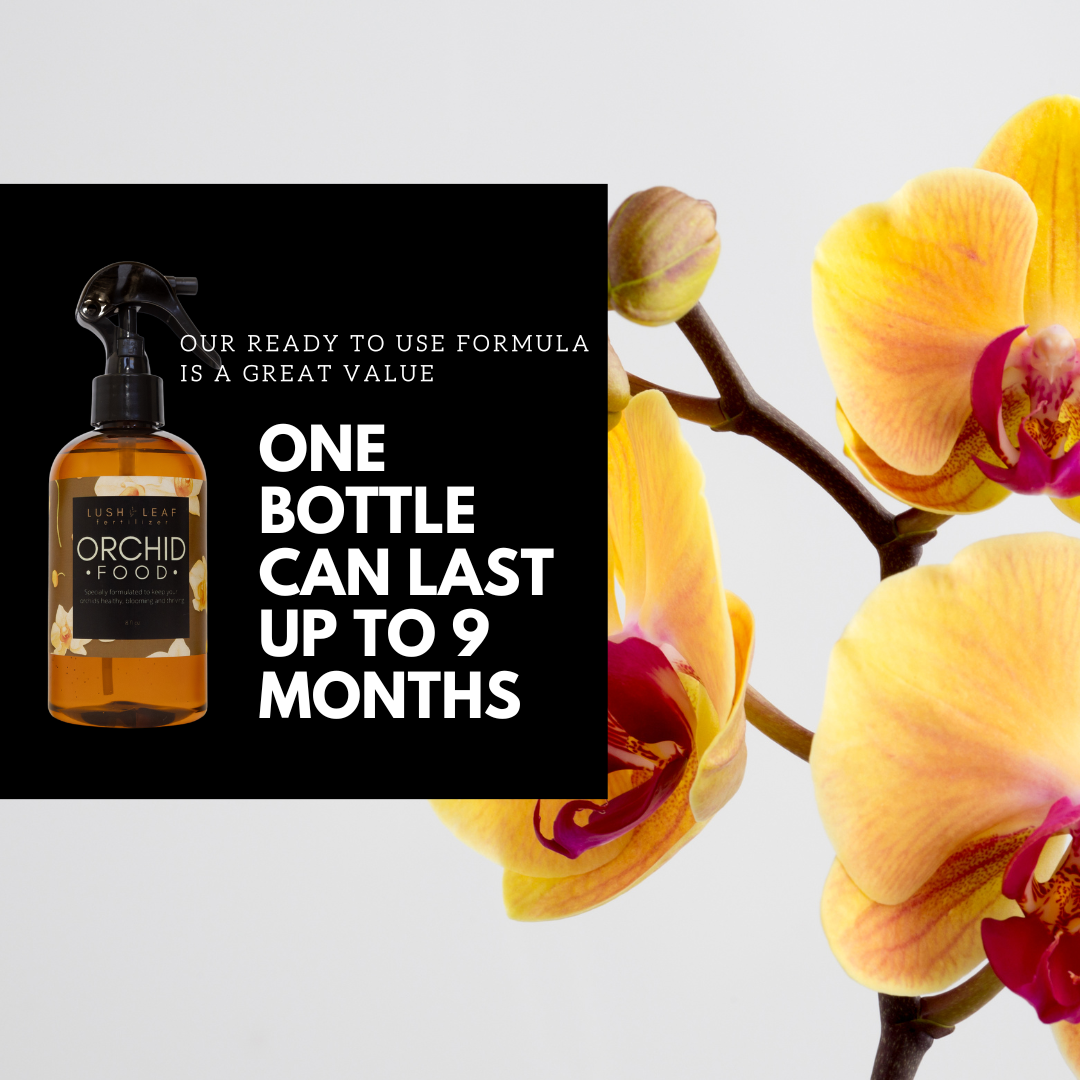 Lush Leaf - Wholesale Fertilizer - Orchid Plant Food4