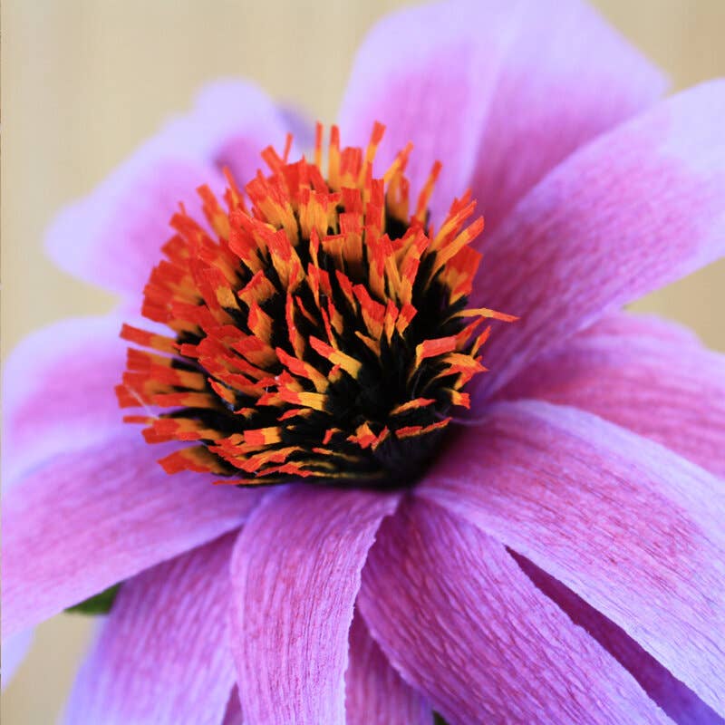 Papercraft Miracles LLC – wholesale Artificial flowers – Purple Coneflower Echinacea Crepe Paper Flower4