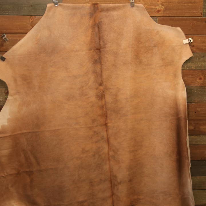 Vaca Champanhe por atacado de Forever Green Art