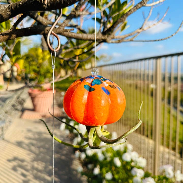 ApricotMint - Wholesale Hanging Planter - Cauliflower Jellyfish Air Plant Holder (plant not included)12