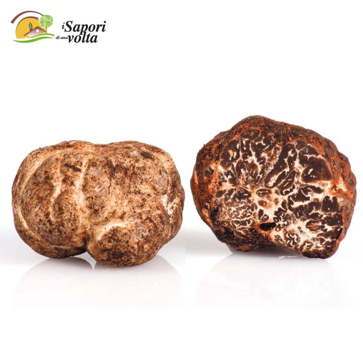 Hvid trøffel (Tuber Marzuolo) for engroshandel hos I sapori di una volta s.r.l.s
