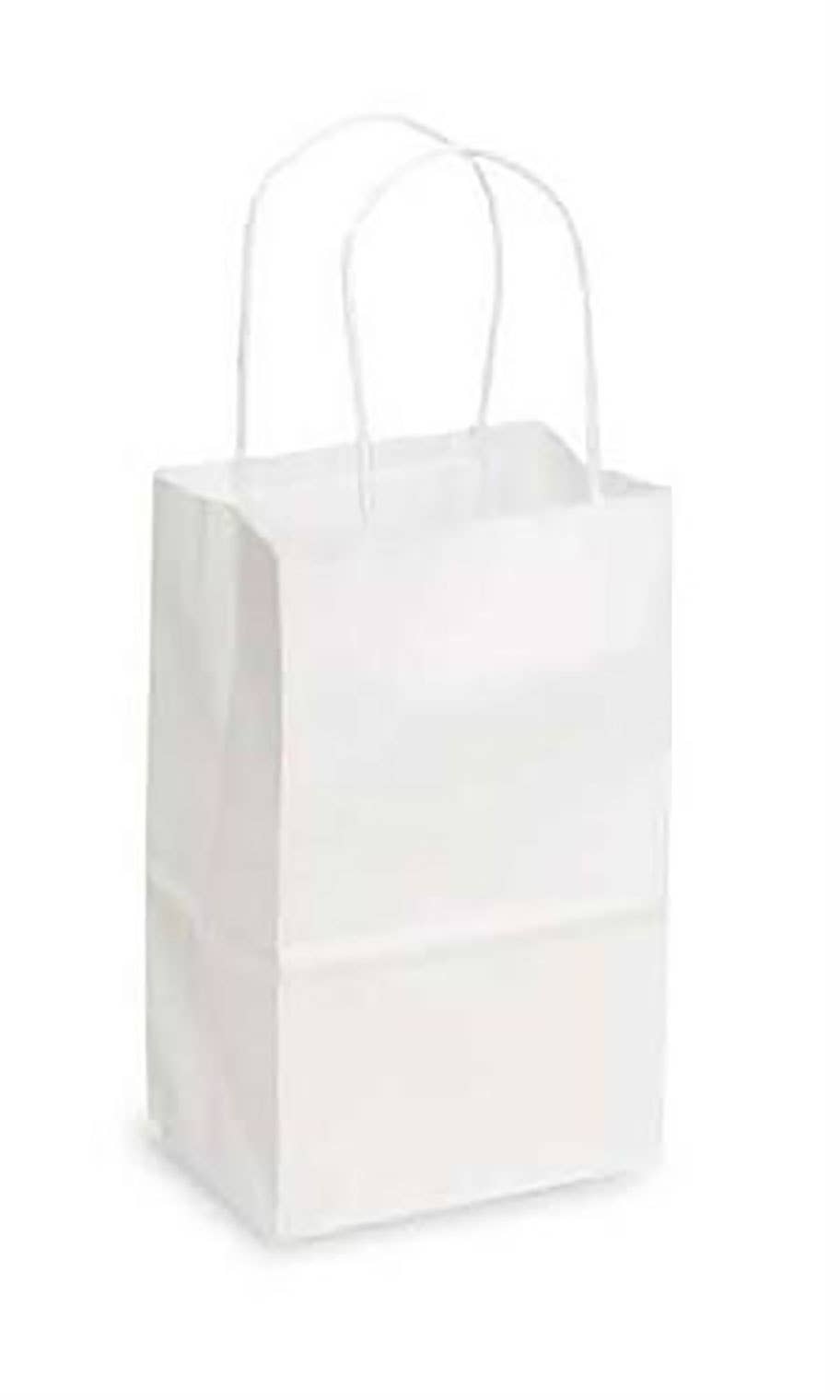 Store Supply Warehouse - Wholesale Gift Bag - Kraft Paper Shopping Bags10