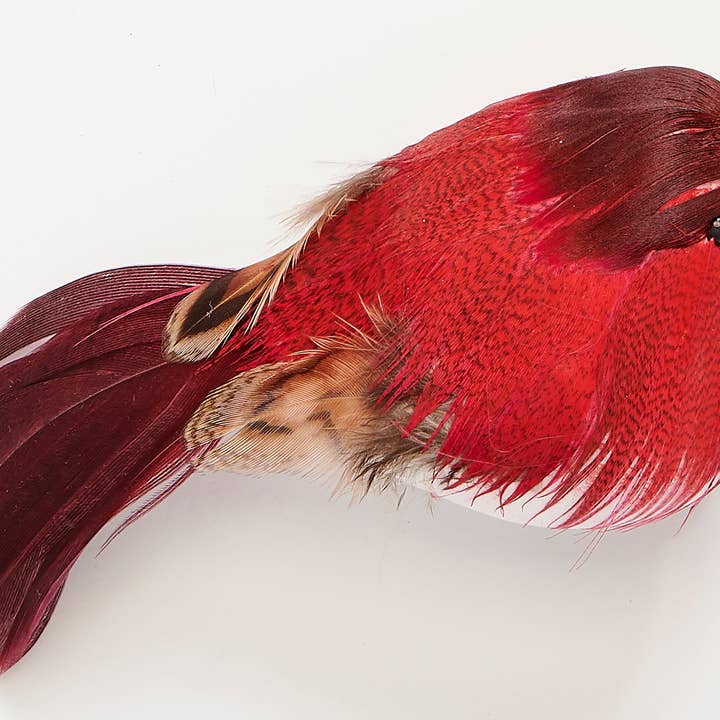 WORTH IMPORTS - Wholesale Christmas Decoration - 4.5" Feathered Bird with Metal Clip1
