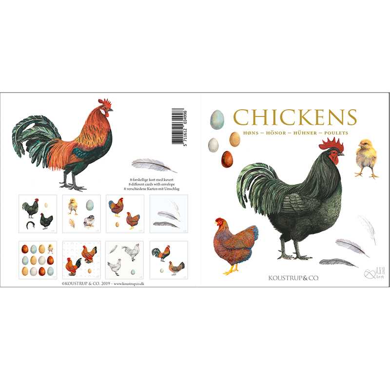 Koustrupco - Wholesale Everyday Greeting Card - Square cards CHICKENS- 8 quality cards made in Europe4