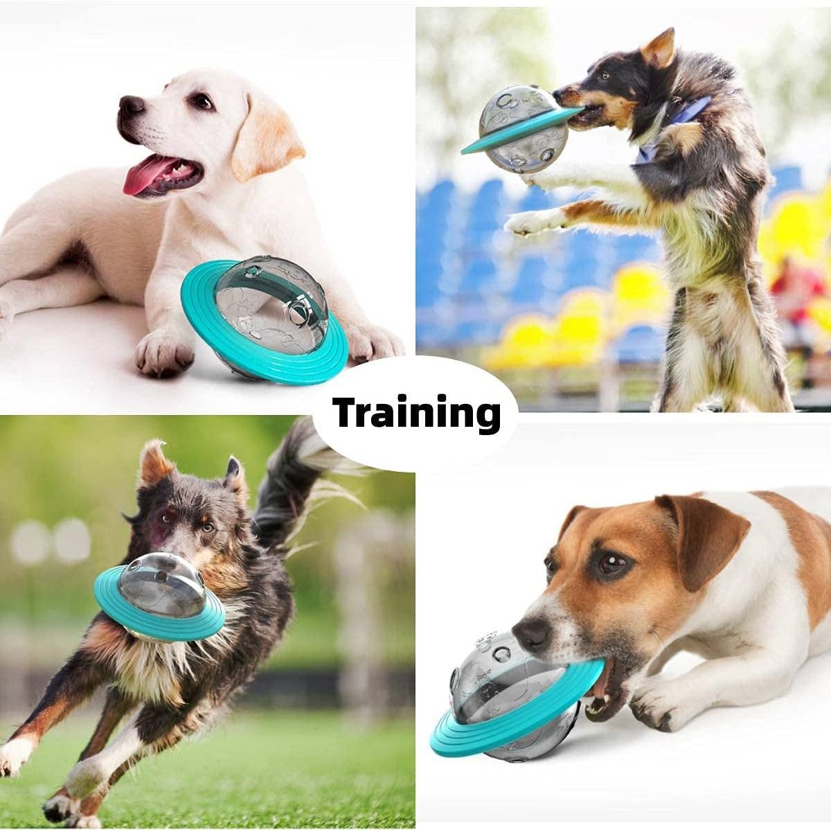 VIGOR - Wholesale Pet Toy - Dog - Puzzle Toys for Middle-Size Dogs , Nontoxic Bite-Resistant6